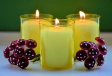 Mẹo đuổi ruồi, muỗi
